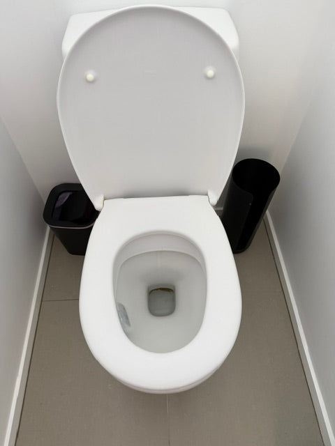 Toilet 1