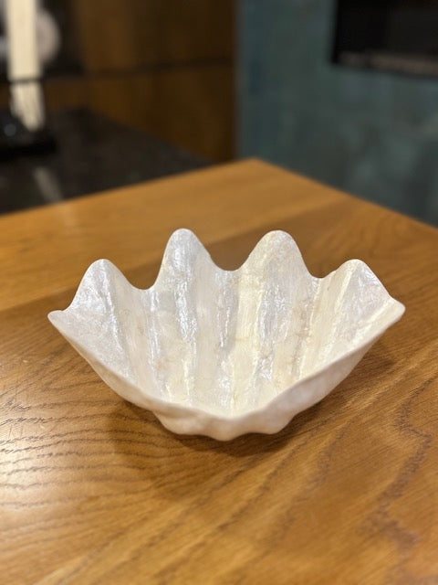 Pearl Clam